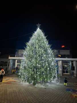 Prižig lučk 2025 (34)